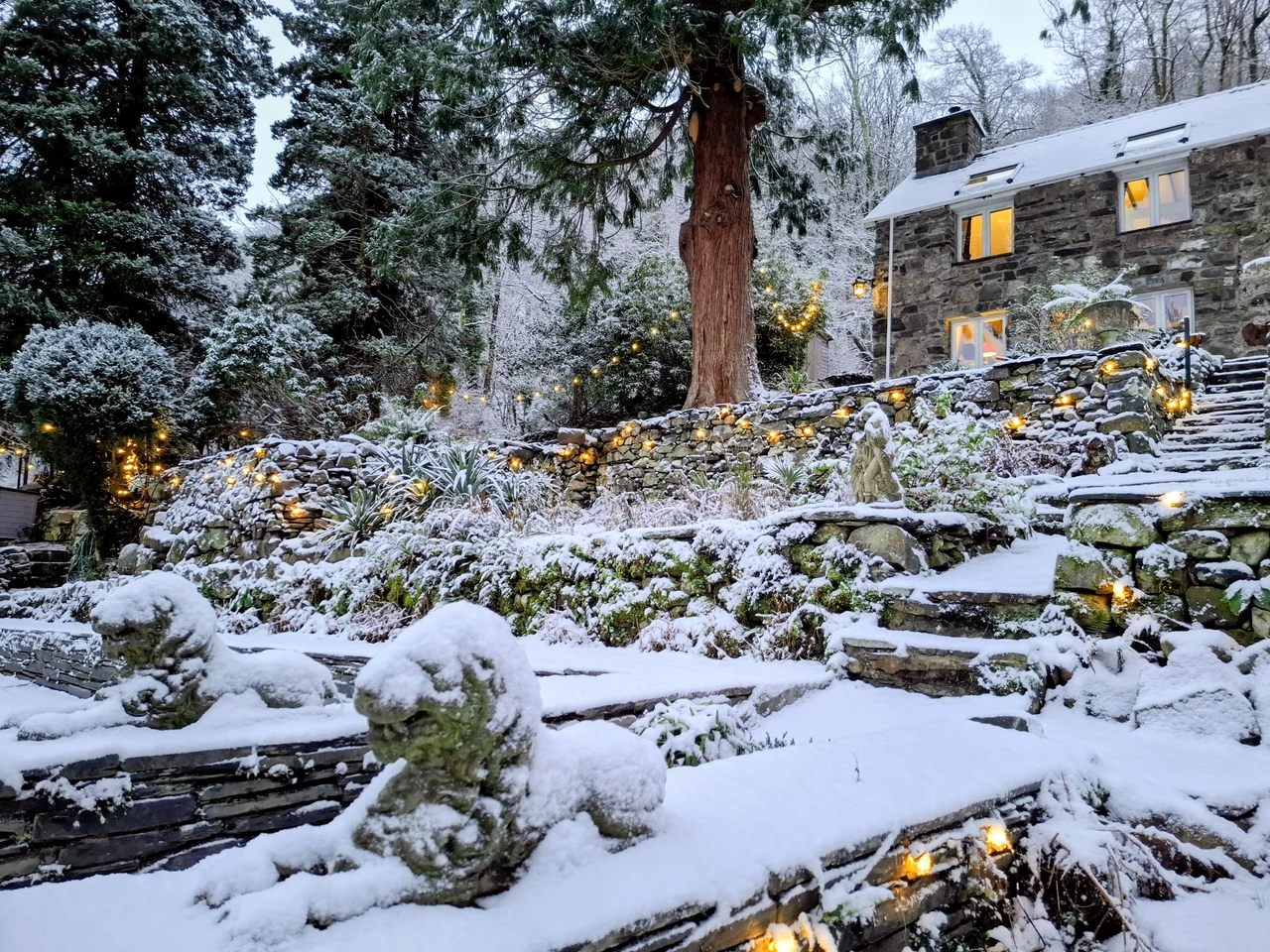Garden from Sauna in Snow