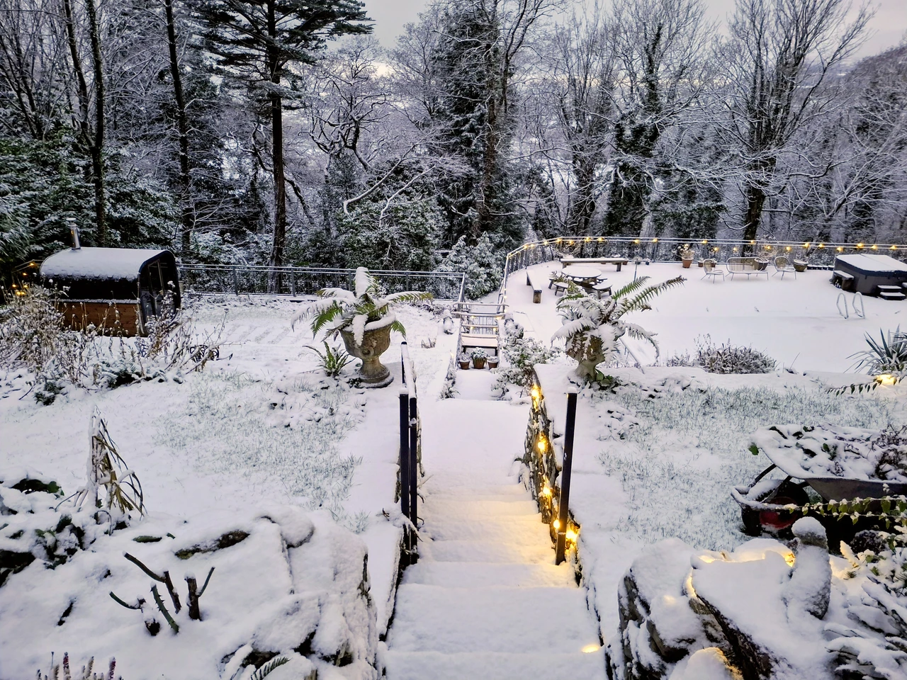 Garden in Snow