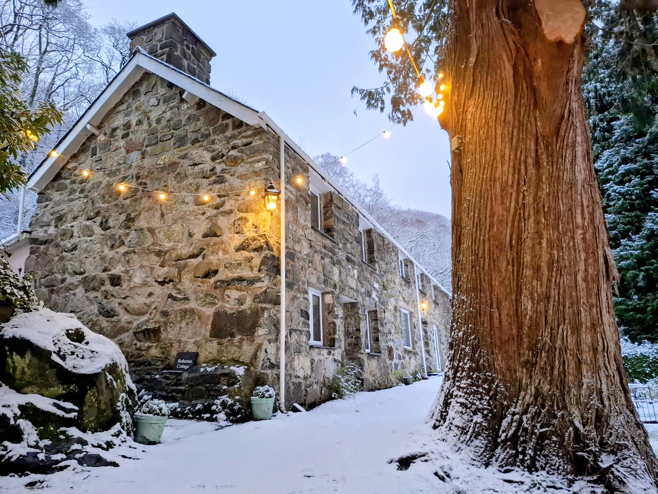 House in Snow View 2